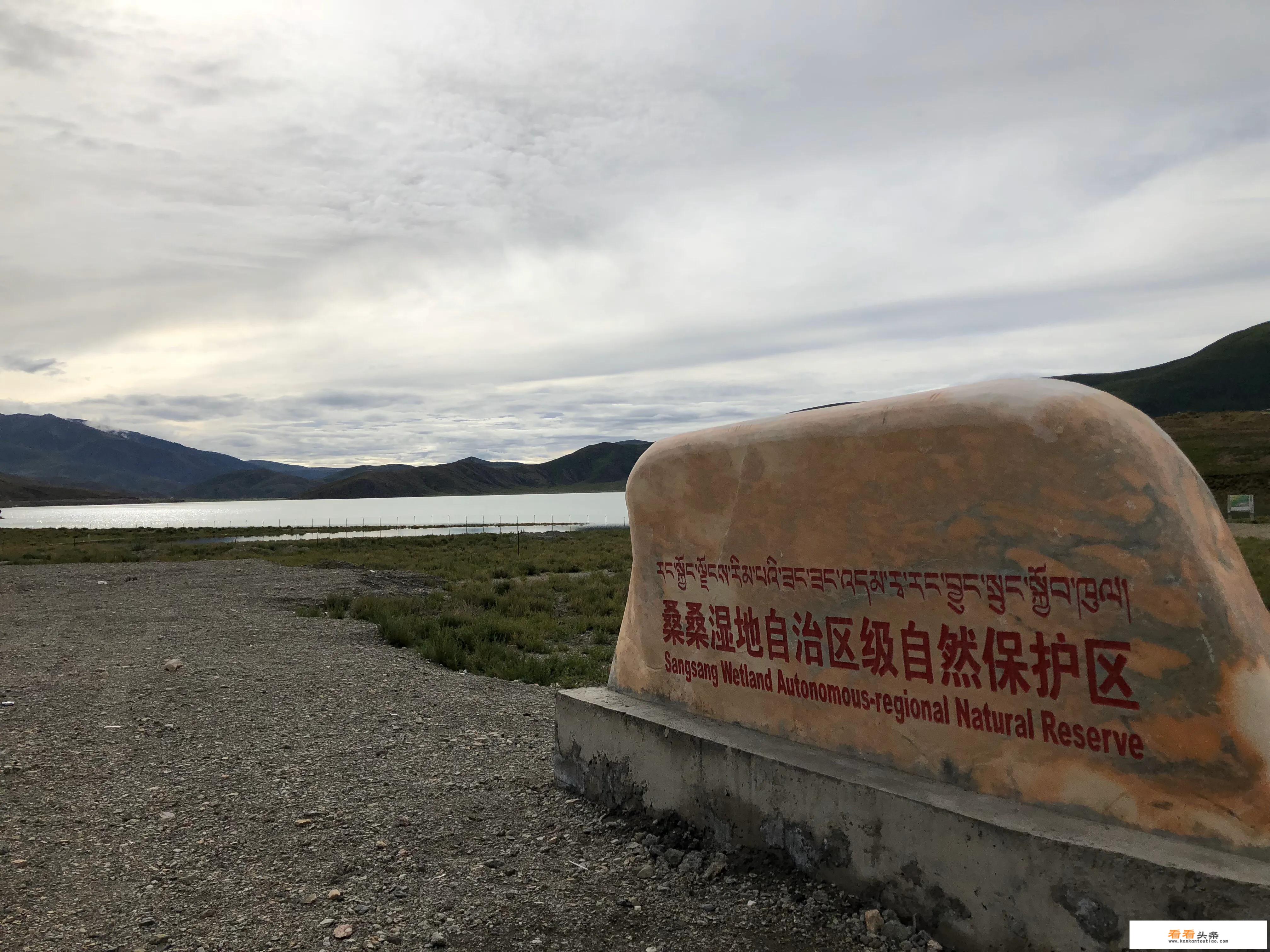 自驾 *** 到叶城怎么安排住宿？