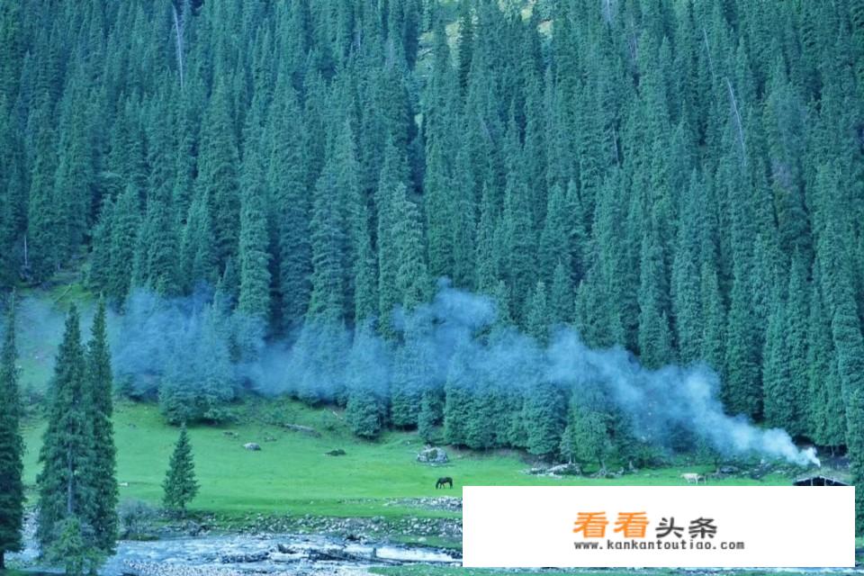 新疆玖红硅业有几台炉子？