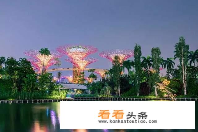 新加坡旅游有什么注意事项？