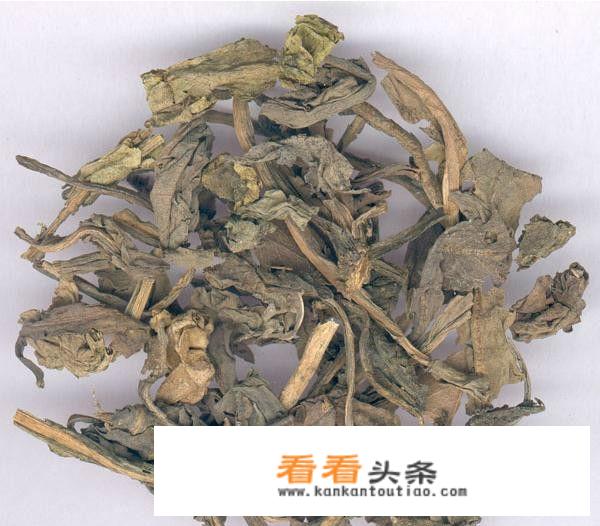 大青叶的作用？
