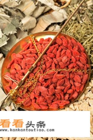 怎么吃枸杞比较好？