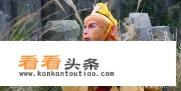 口袋妖怪究极绿宝石神兽被打死？