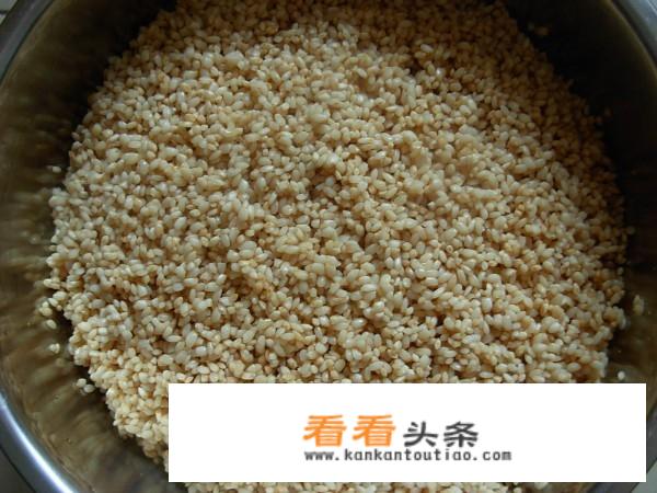 鲜肉粽子的做法和配料？