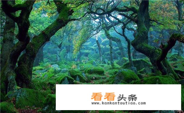 你是我放在心尖上的人、挥之不去忘之不却什么意思？