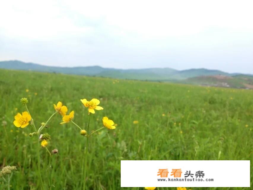 暑假期间去哪里旅游既凉爽又好玩？