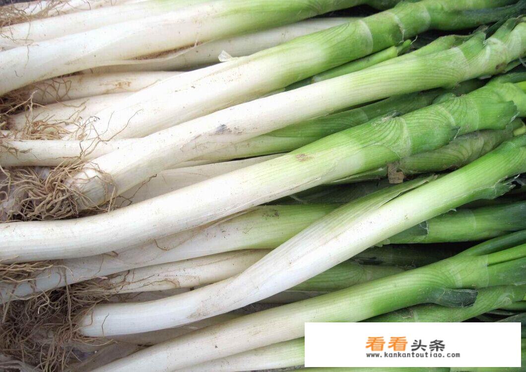 健脾祛湿湿汤料？