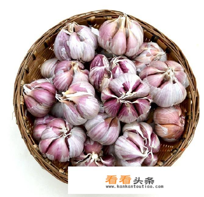 健脾祛湿湿汤料？