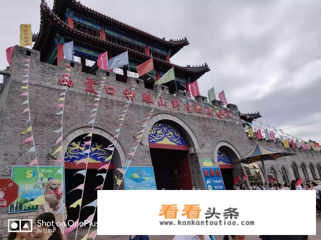 去山东威海旅游，需要带什么东西？