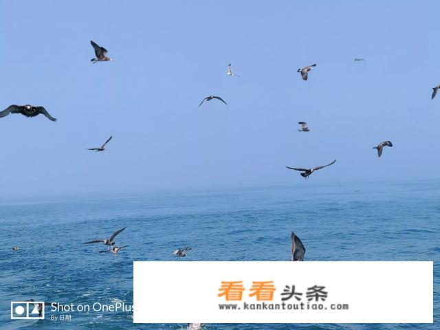 去山东威海旅游，需要带什么东西？