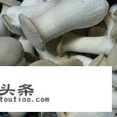 鸡腿菇怎么炒？