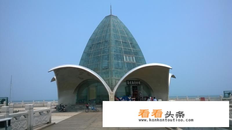 烟台带狗旅行的地方在哪里？
