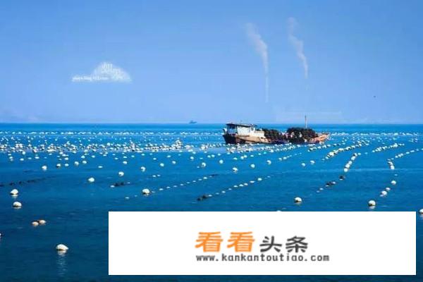 男生发游玩照片怎么回复？