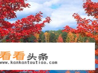 庐山秋景看红叶的准确时间？