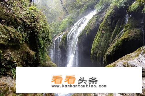 夷陵区附近游玩景点推荐？