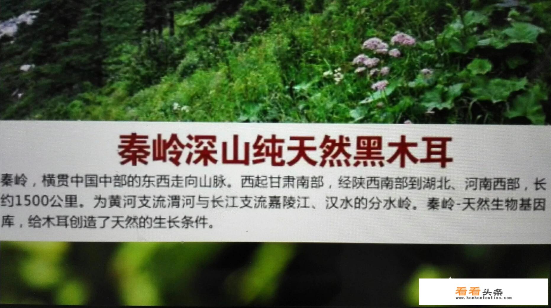 经常吃黑木耳有什么好处，可以减肥吗？