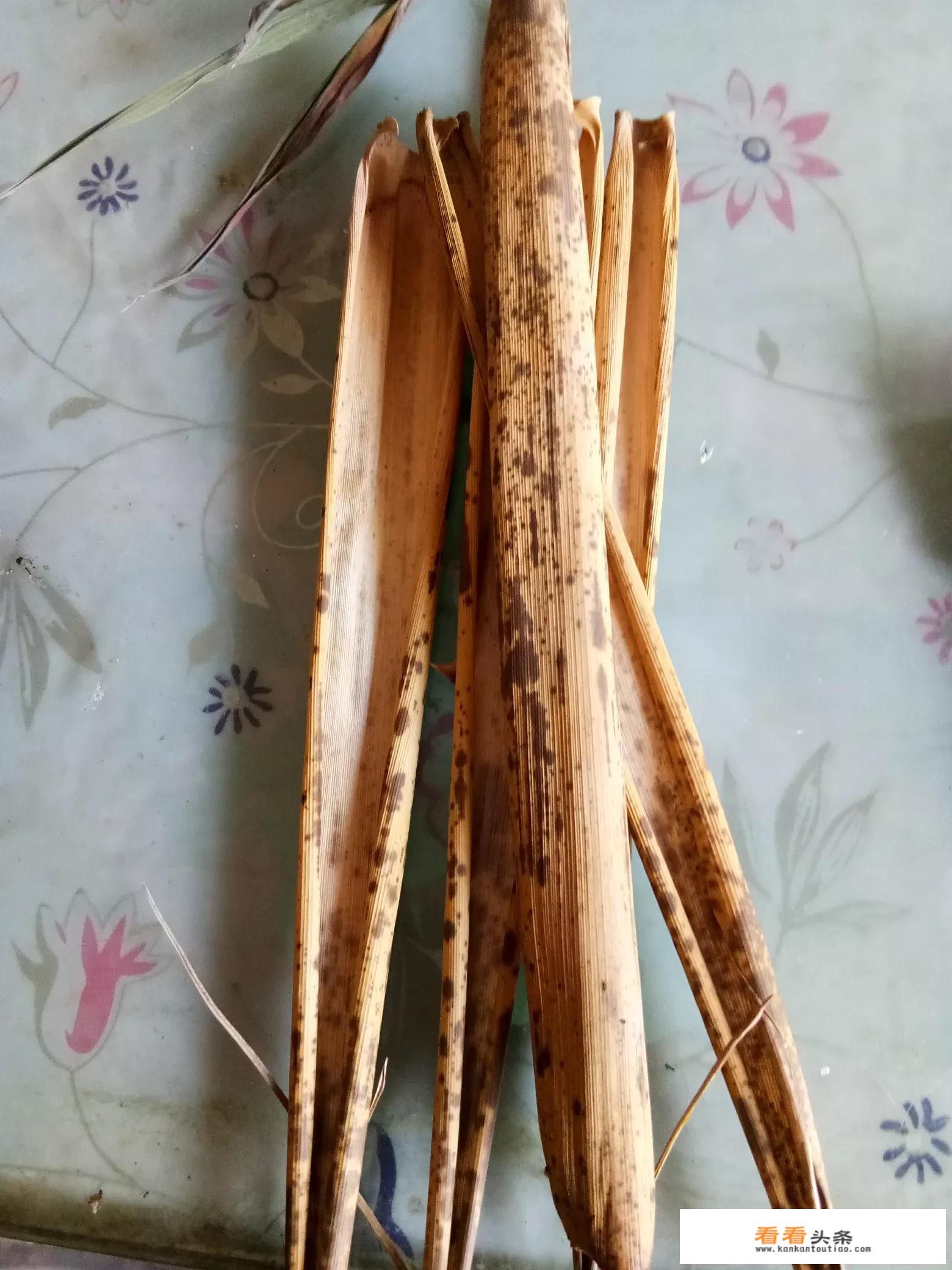 粽叶苗怎么繁殖？