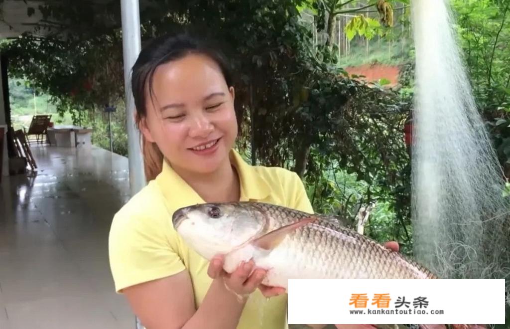 请问，河北省哪里有山有水还盛产荔枝，夏季适合旅游的？