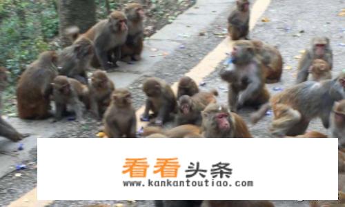 贵州旅游攻略？