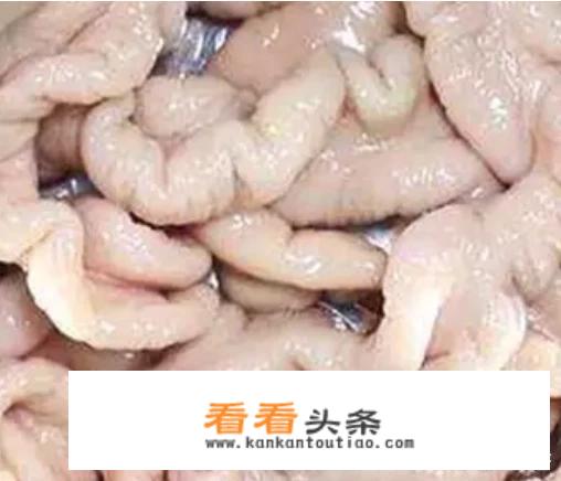 猪大肠怎么做好吃？