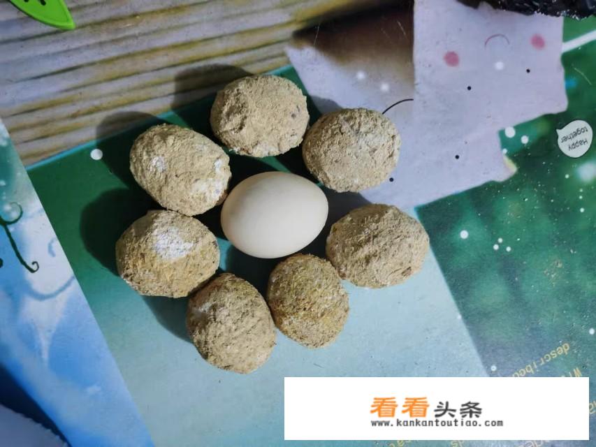松花皮蛋家常做法？