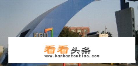 旅游管理包括哪些内容？