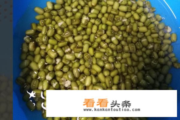 绿豆芽的 ***  *** ？