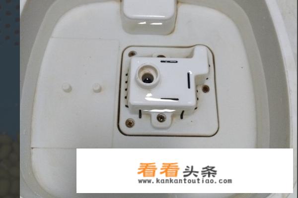 绿豆芽的 ***  *** ？
