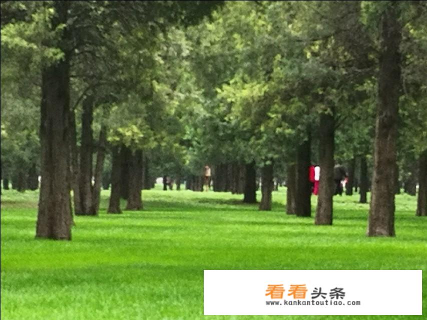 外地去北京自驾游更佳攻略？