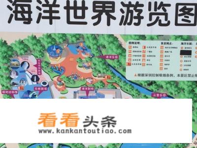 寿光极地海洋世界游玩攻略？