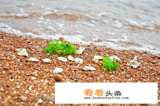 海边沙滩有什么好玩的？
