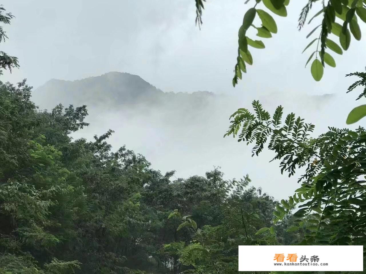 谁来与我一起和红楼菊花诗词？