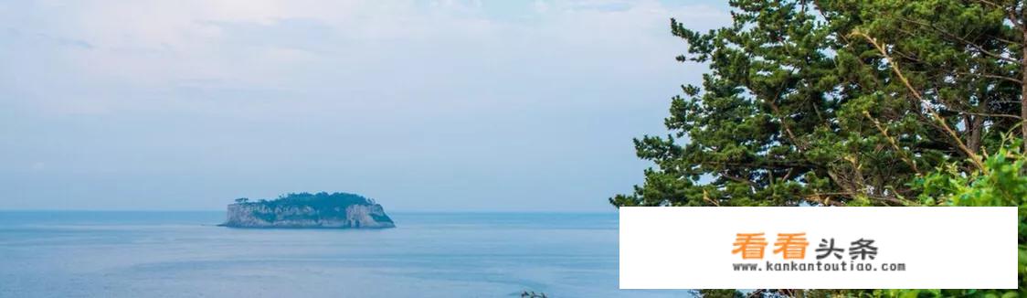 旅游护照办理流程？