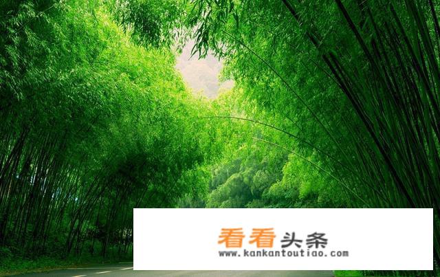 11月适合旅游的地方？