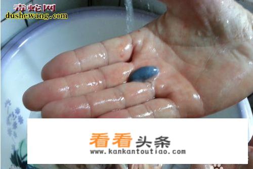 蛇怎么煲汤才好喝？