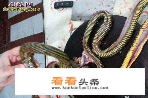 蛇怎么煲汤才好喝？