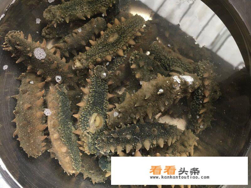 半干海参最简单泡发 *** ？