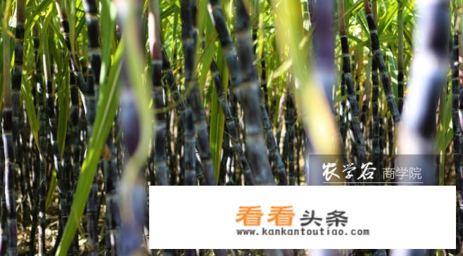 河北省通过什么途径加强和发展休闲农业？