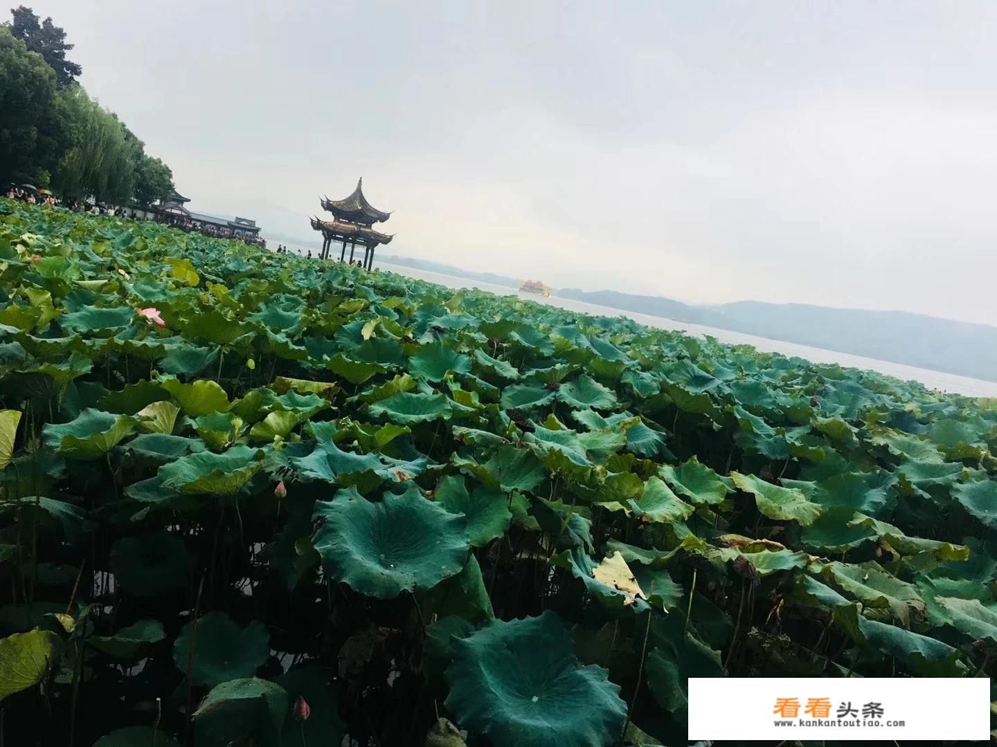 去杭州旅游什么时节更好？