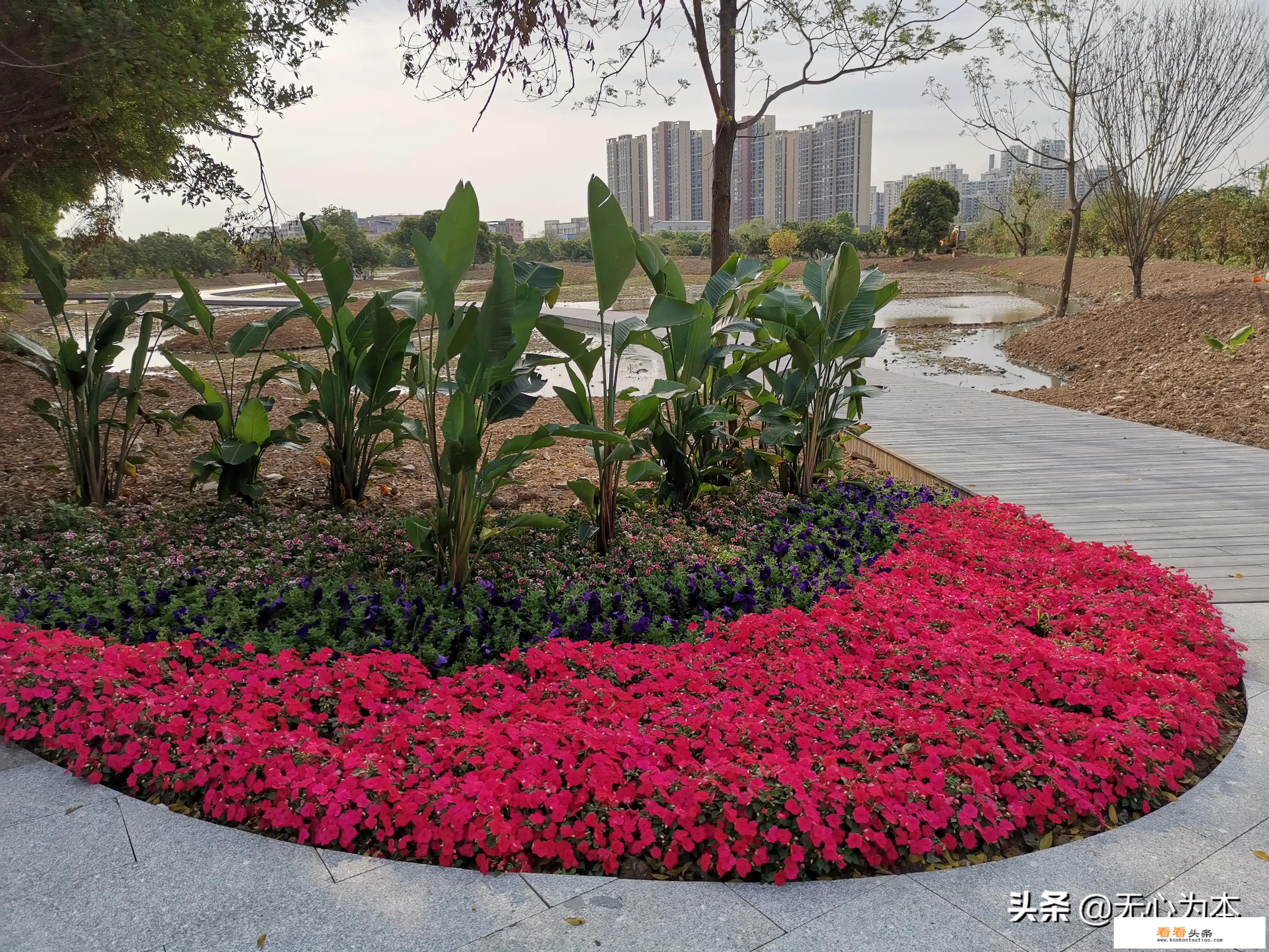 抖音上的低价旅游可信吗？