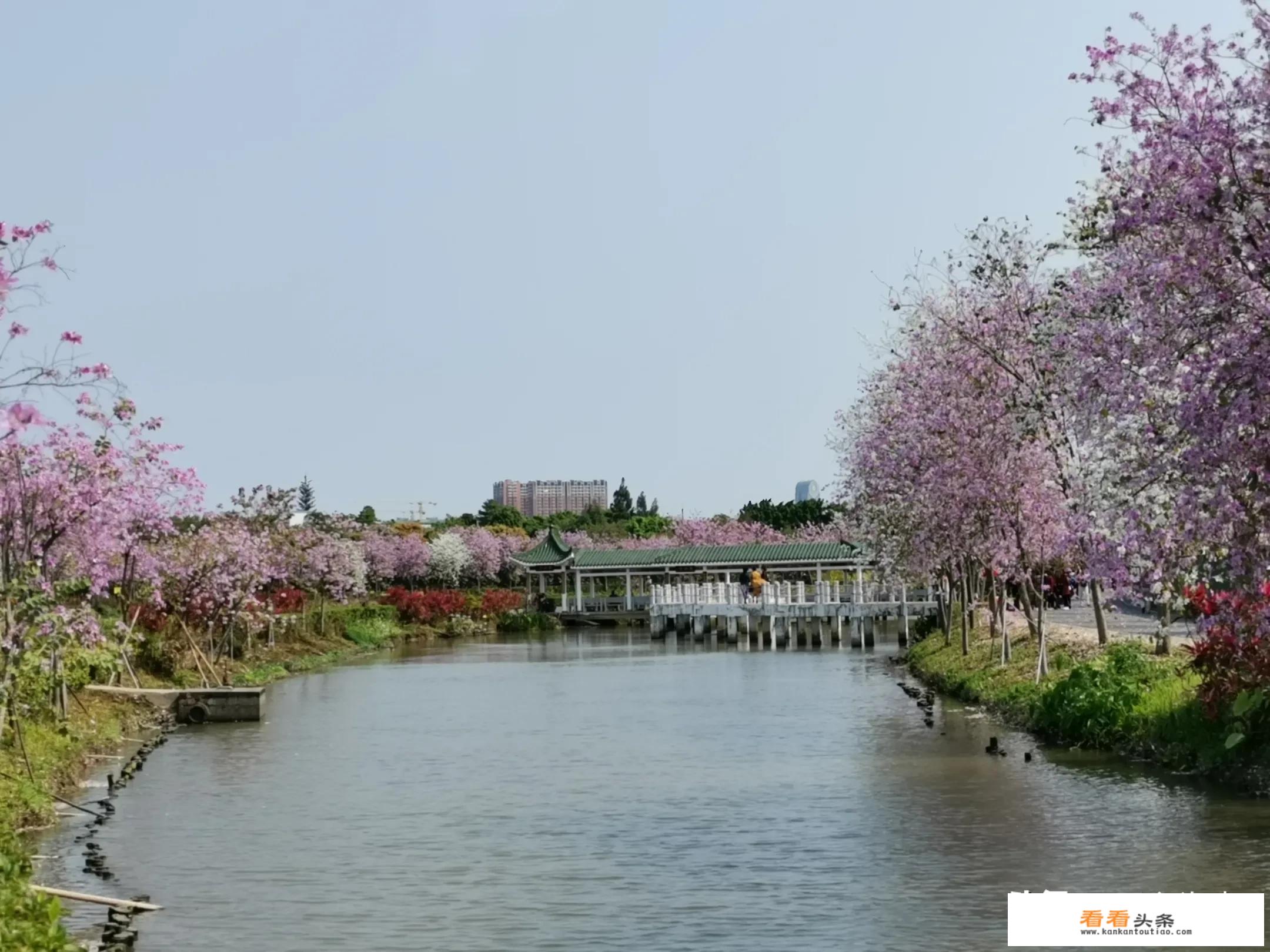 抖音上的低价旅游可信吗？