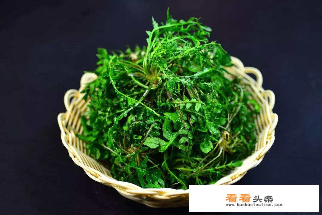 养肝护肝的食物及蔬菜水果有哪些？