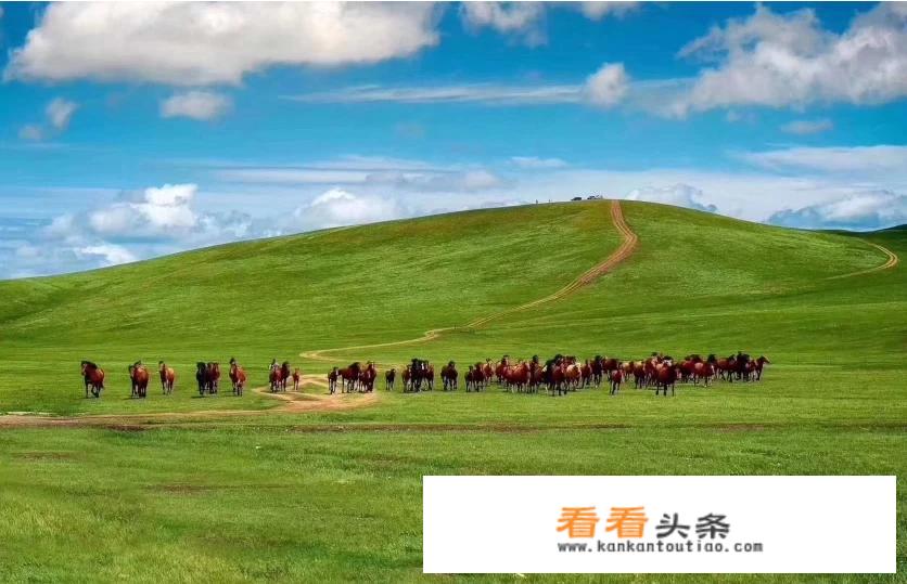 做旅行私人行程定制有前景吗？