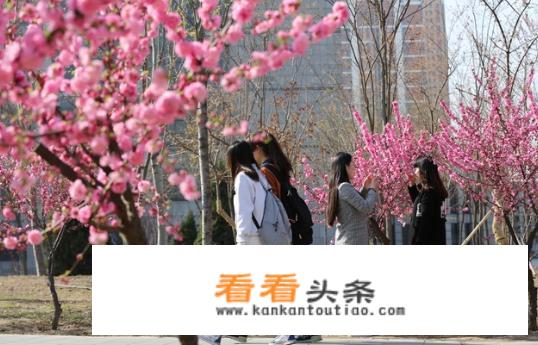 河北农业大学旅游管理专业怎么样？