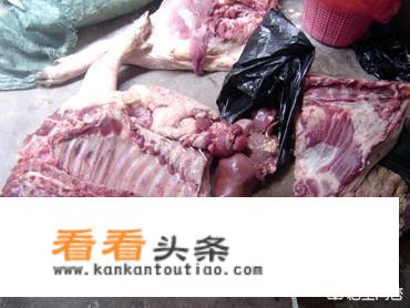 歌词有打死你的歌？