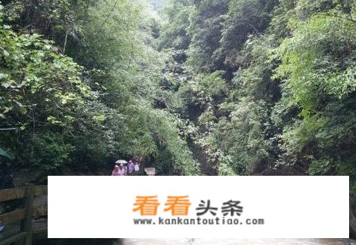 高铁去武隆游玩攻略？