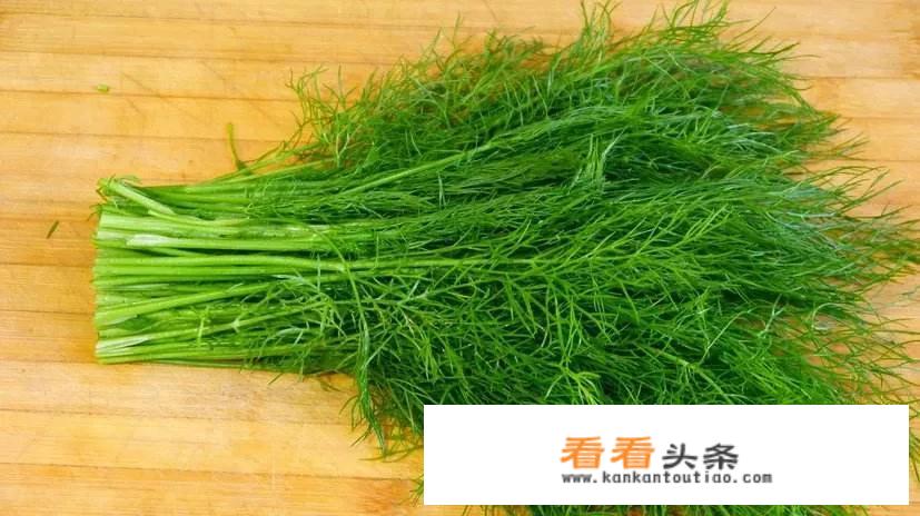 茴香肉馅忌讳什么？