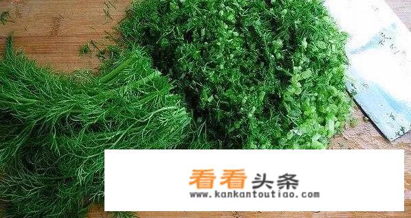 茴香肉馅忌讳什么？