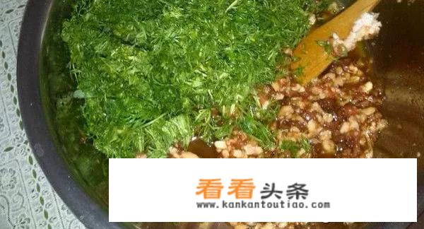 茴香肉馅忌讳什么？