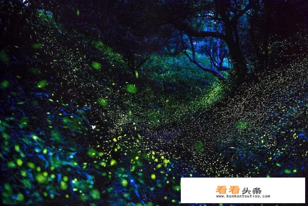 九华山天台、花台、百岁宫一定要坐缆车才能游玩吗?如果坐缆车的话一定要坐往返的吗？