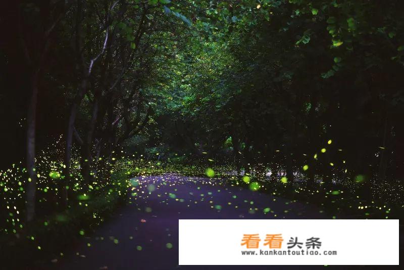 九华山天台、花台、百岁宫一定要坐缆车才能游玩吗?如果坐缆车的话一定要坐往返的吗？